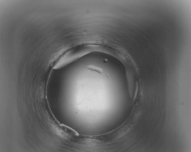 X0000077350393200610271834