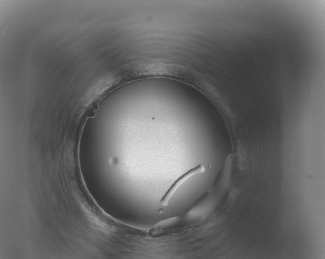 X0000077350394200610271834