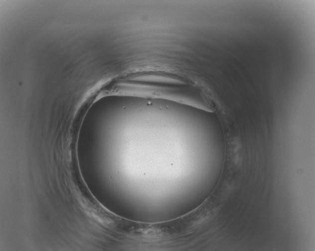 X0000077350395200610271834