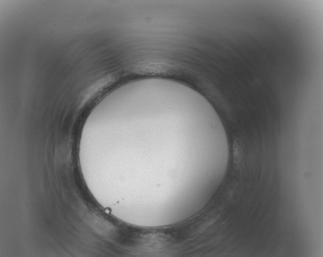 X0000077350396200610271834