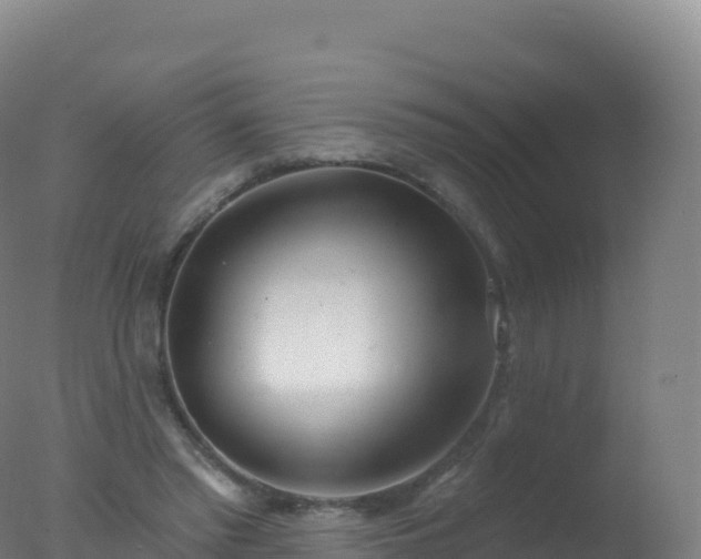 X0000077350397200610271834