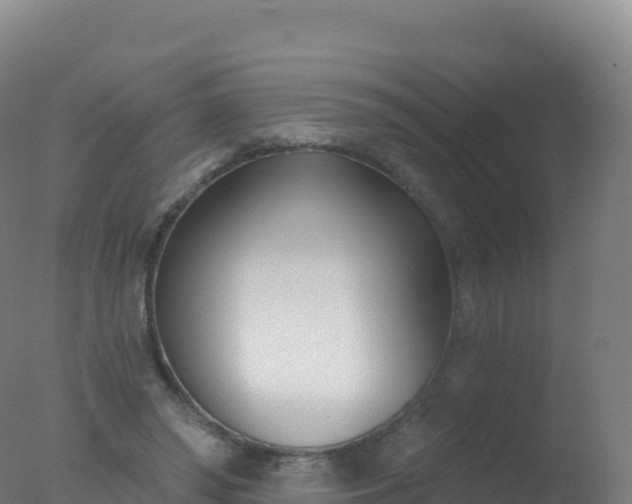 X0000077350398200610271834