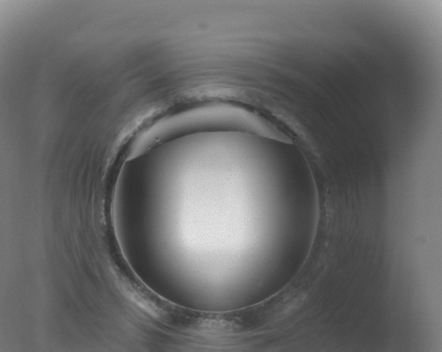 X0000077350399200610271833