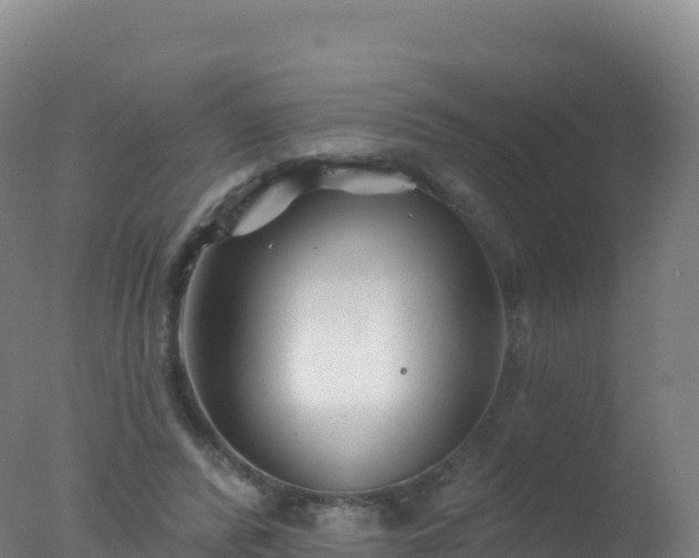 X0000077350400200610271833