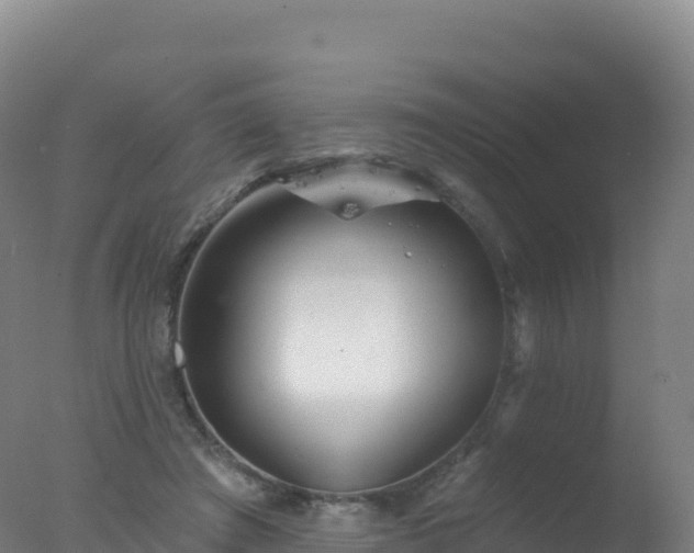 X0000077350401200610271833