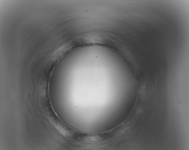 X0000077350402200610271833