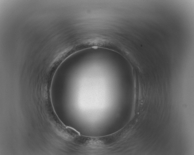 X0000077350403200610271833