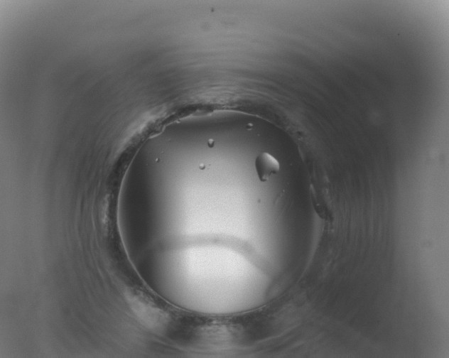 X0000077350404200610271833