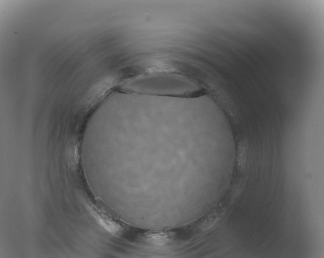 X0000077350405200610271833