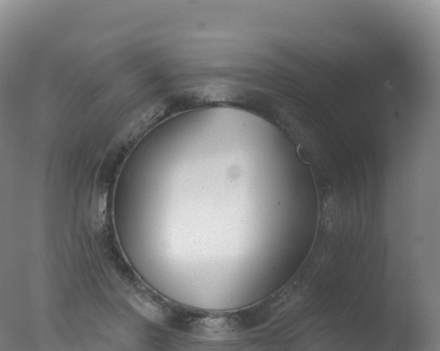 X0000077350406200610271833