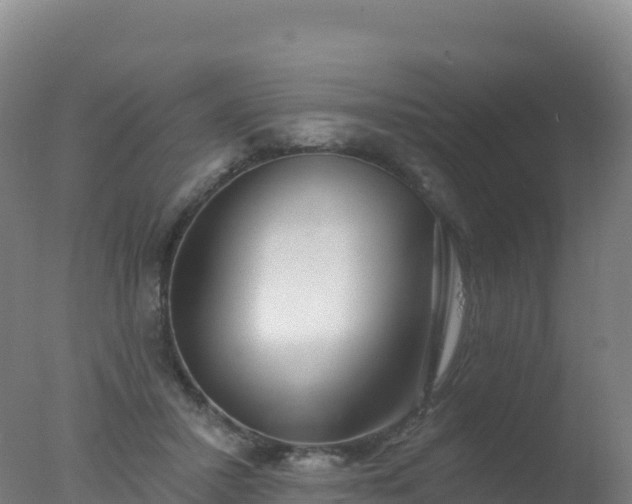 X0000077350407200610271833