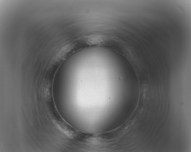 X0000077350408200610271833