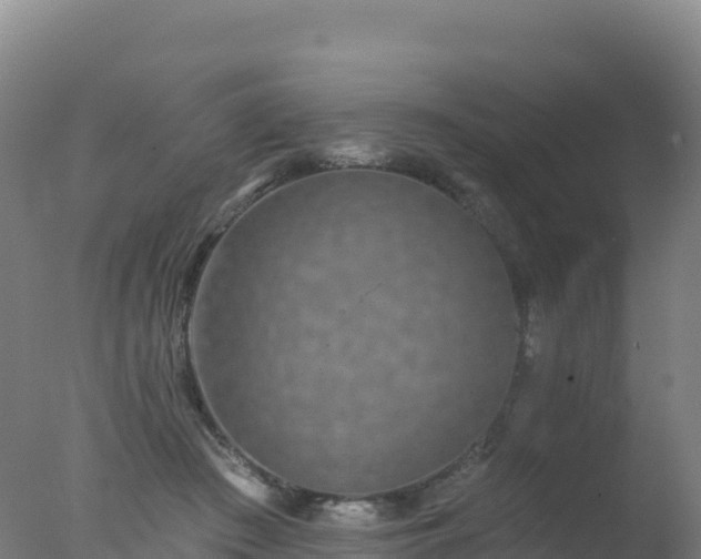 X0000077350409200610271833