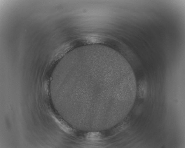 X0000077350410200610271833