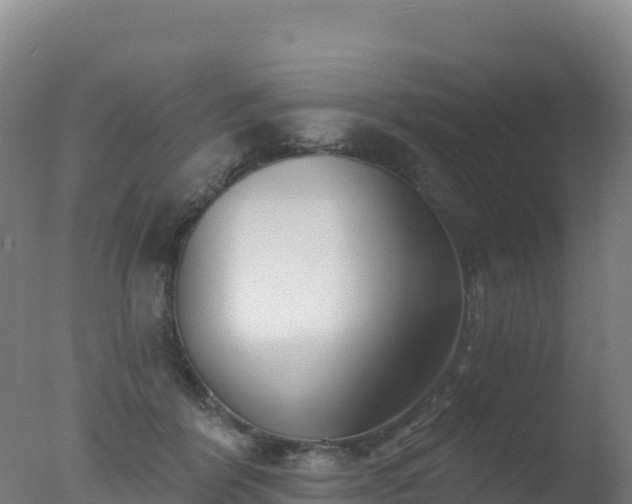 X0000077350412200610271833