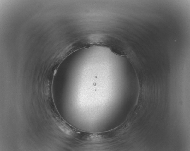 X0000077350413200610271833