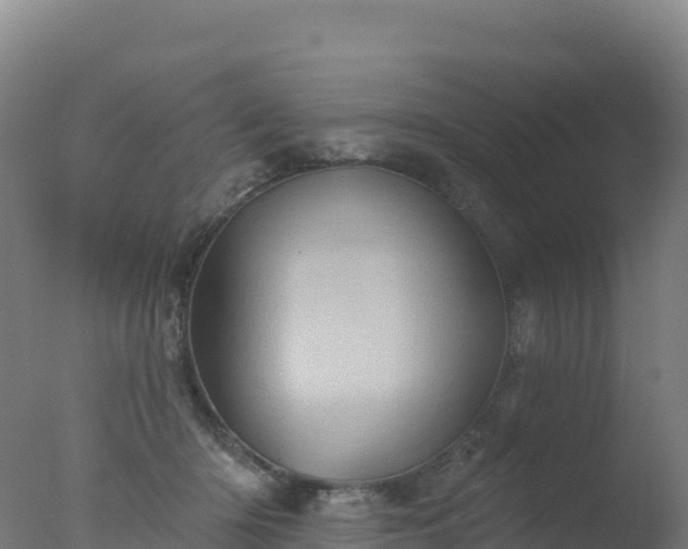 X0000077350414200610271833