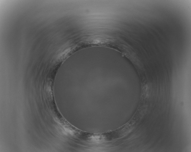 X0000077350415200610271833