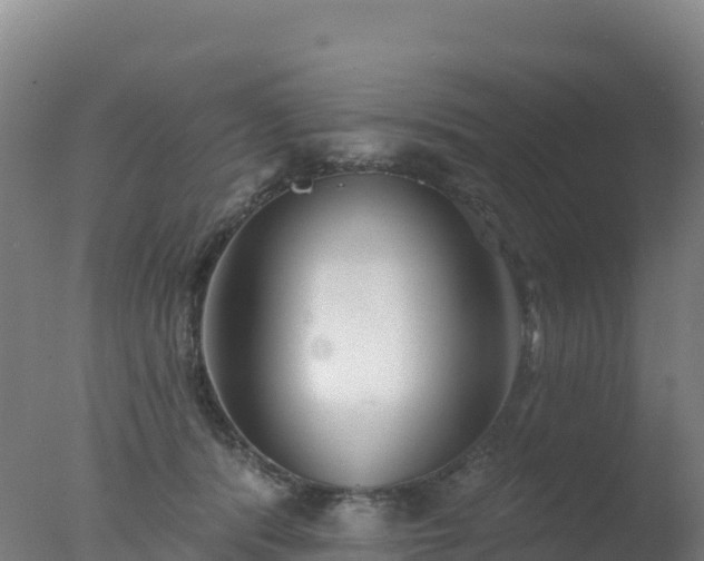 X0000077350416200610271833