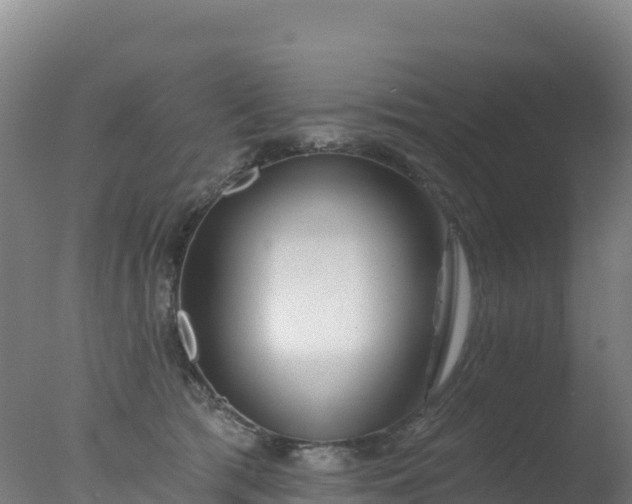 X0000077350417200610271833