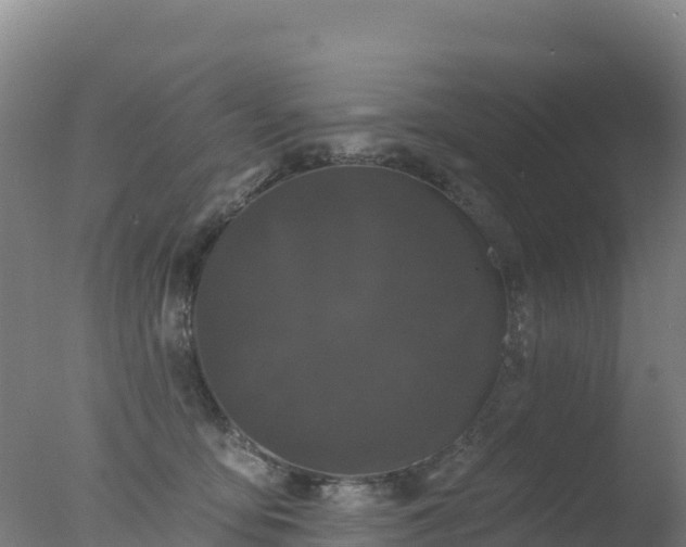 X0000077350419200610271833