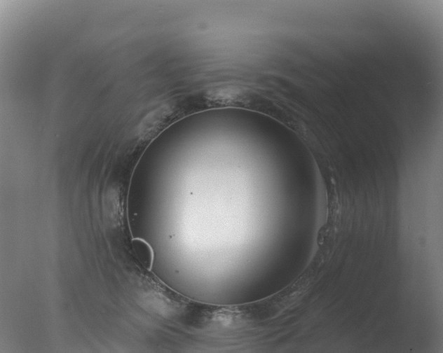 X0000077350420200610271833