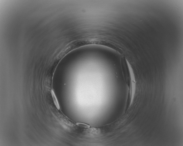 X0000077350421200610271833