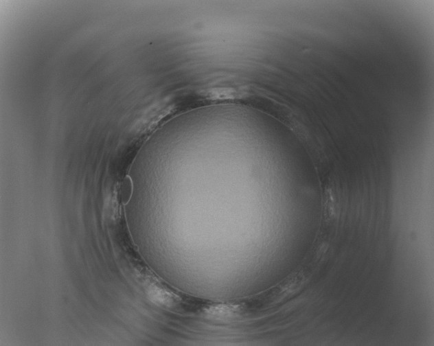 X0000077350422200610271833