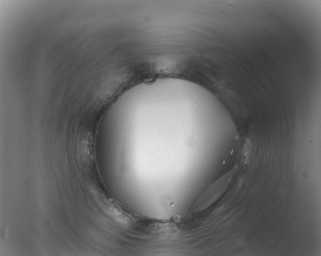 X0000077350424200610271833