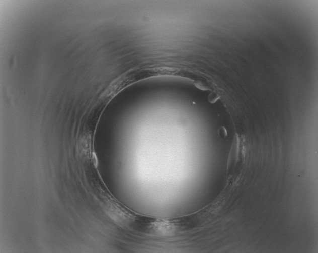 X0000077350425200610271833