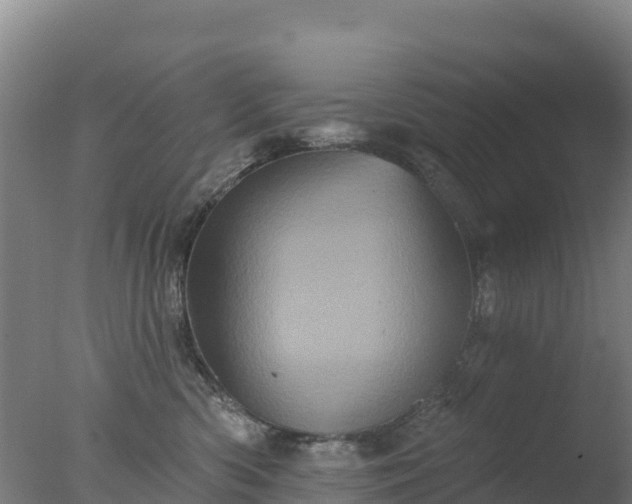 X0000077350426200610271833