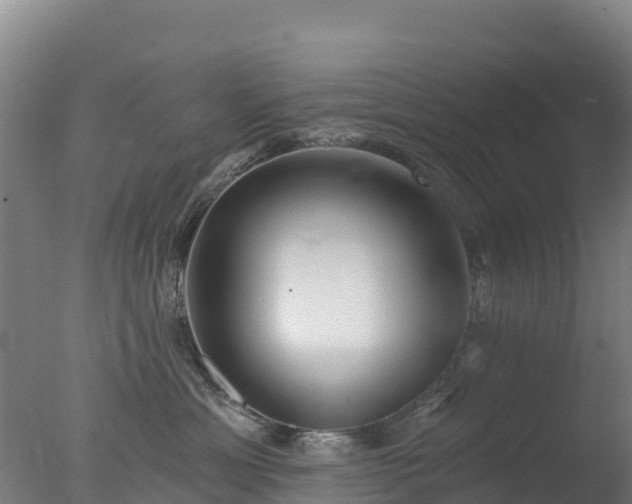 X0000077350429200610271833