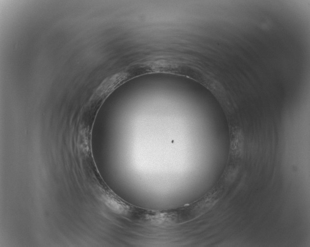 X0000077350430200610271833