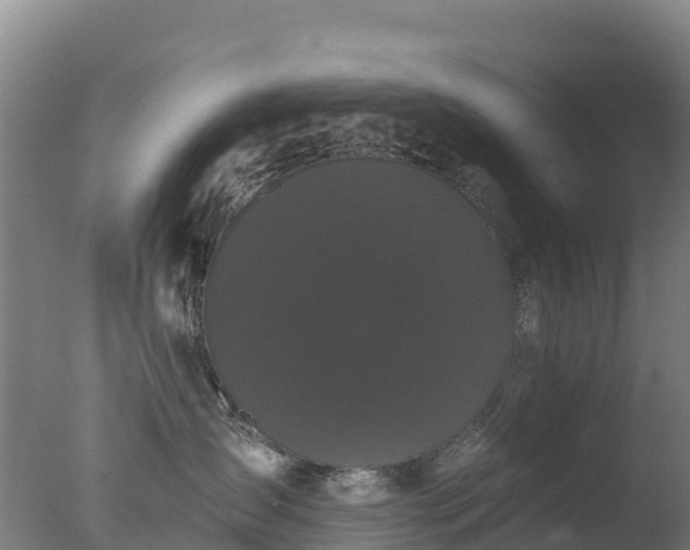 X0000077350431200610271833