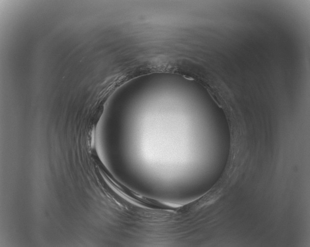 X0000077350432200610271833