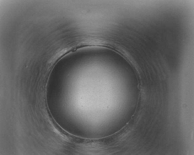 X0000077350433200610271832