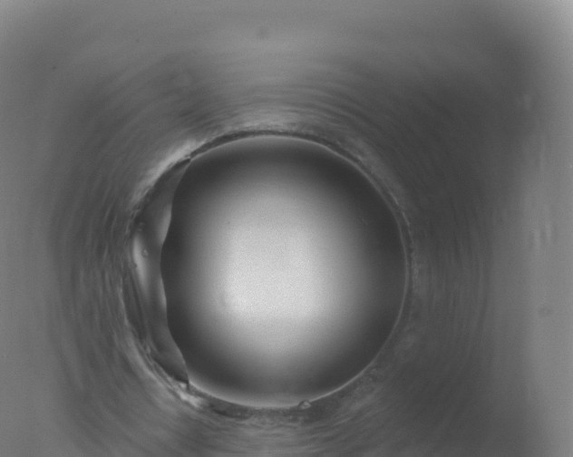 X0000077350434200610271832