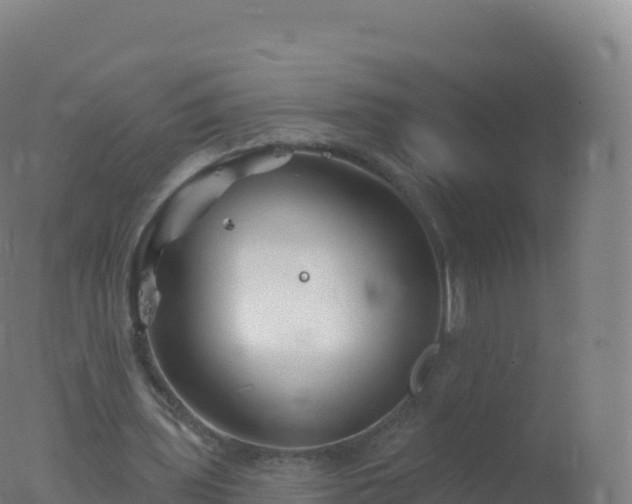 X0000077350435200610271832