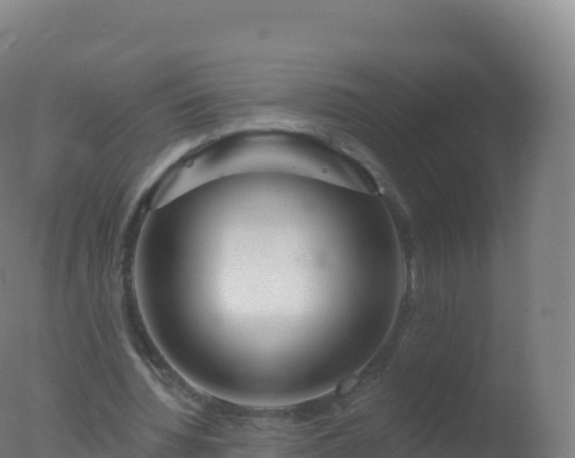 X0000077350436200610271832