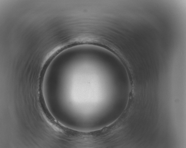 X0000077350438200610271832