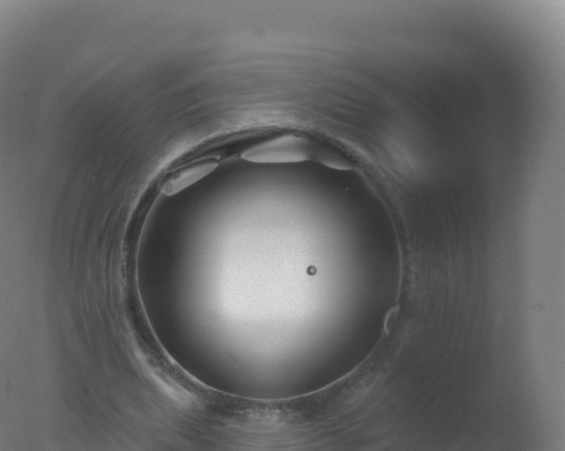 X0000077350439200610271832