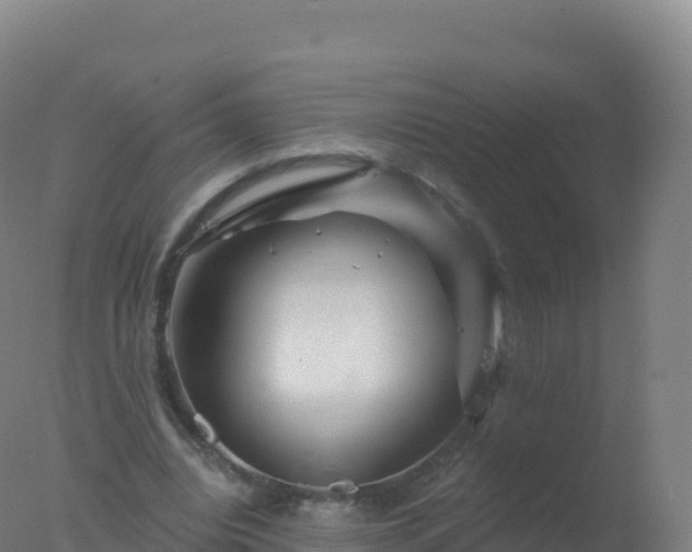 X0000077350440200610271832