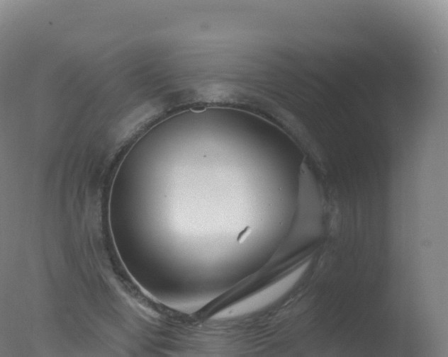 X0000077350442200610271832