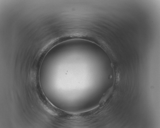 X0000077350444200610271832