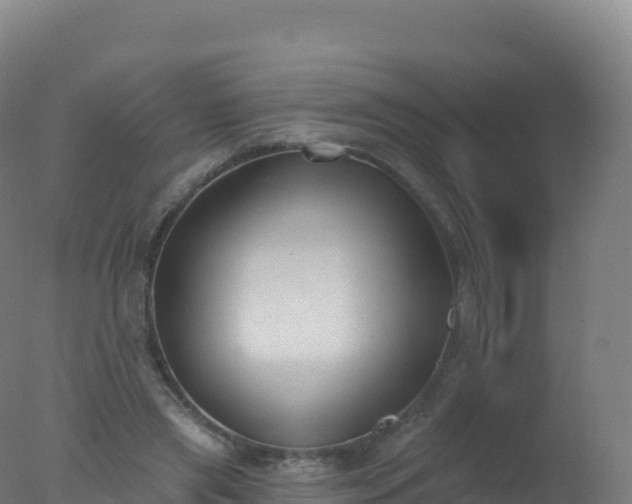 X0000077350445200610271832