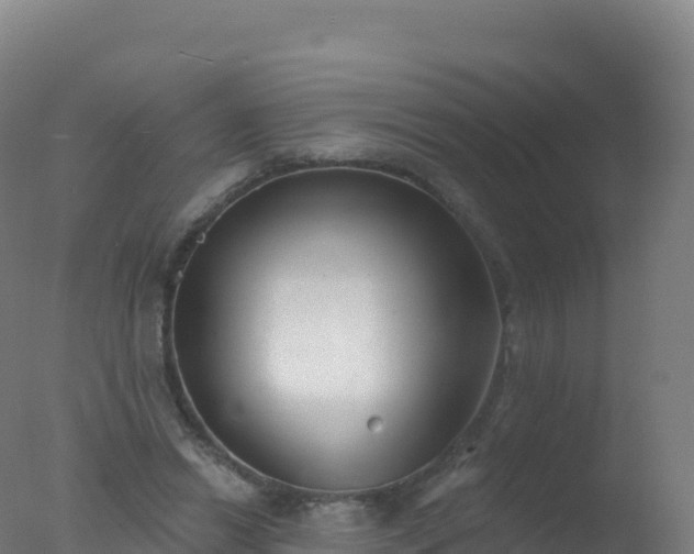 X0000077350446200610271832