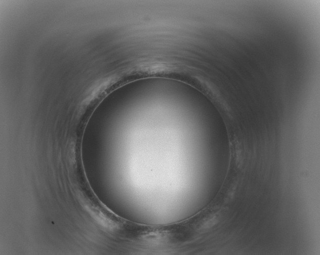 X0000077350447200610271832