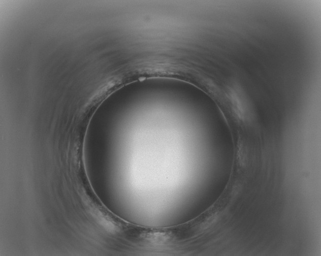 X0000077350449200610271832