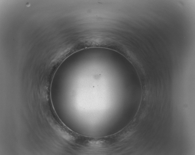 X0000077350450200610271832