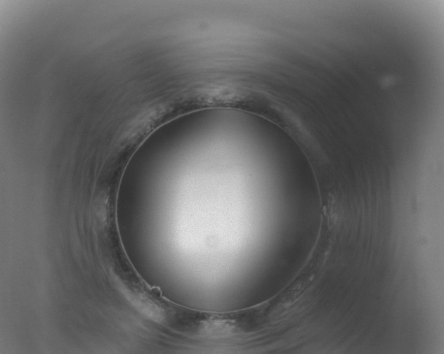 X0000077350451200610271832